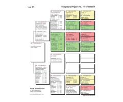 21/NSBR-1902 - 5th in Long Island Challenge & Sister to $10,000 hen! - 4