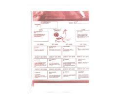 25/BISON-2326 - BC C - 4th place Long Island Challenge 334 miles - 4